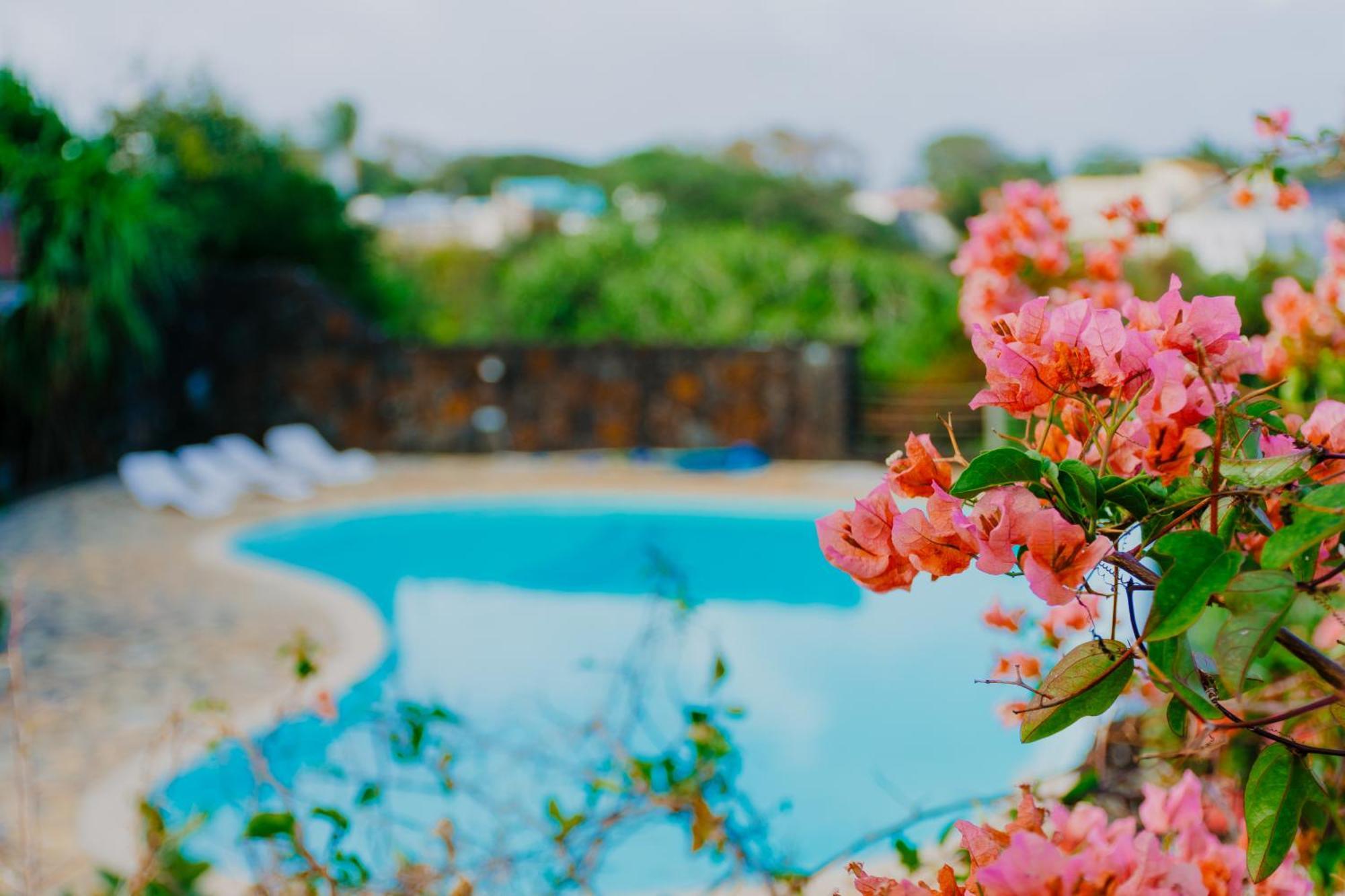 Boutique Villa On The Rocks With Stunning Sea Views, Infinity Pool & Private Sea Trou d'Eau Douce Eksteriør bilde