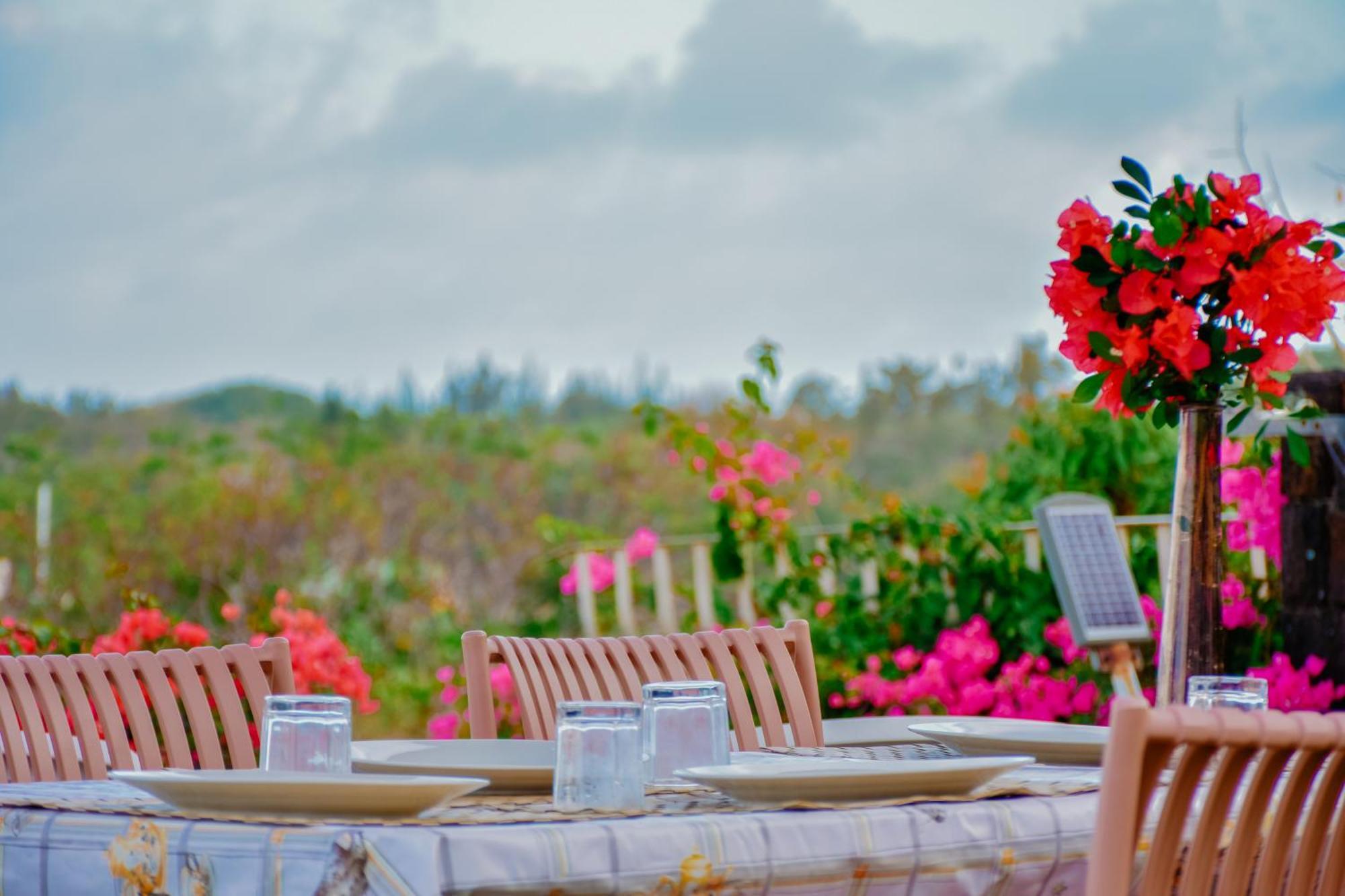 Boutique Villa On The Rocks With Stunning Sea Views, Infinity Pool & Private Sea Trou d'Eau Douce Eksteriør bilde